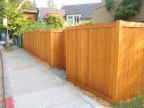 Dry Cedar Fence