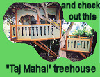 thumbnail of Taj Mahal treehouse, link to photo journal of same