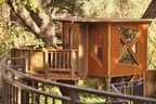 Redwood Treehouse 