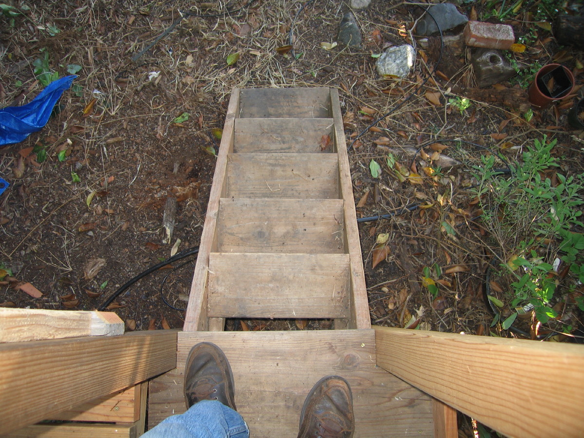 Tree yurt Treehouse bottom stairs