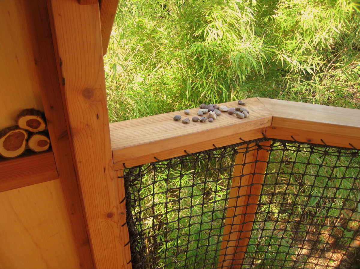 Beautiful redwood treehouse railing with kids' pebbles