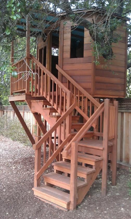 Redwood Temple Treehouse in Saratoga