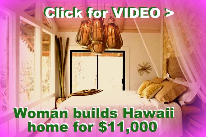 Woman builds Hawaii tiny off-grid vacation home for $11,000