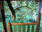 view from interior space towards front of taj Mahal treehouse
