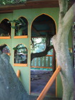 right wall treehouse