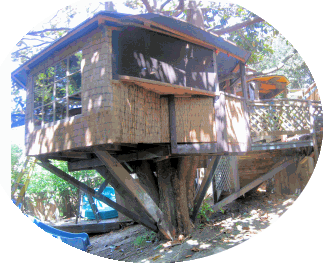 original tree house, view from ground level below and northwest